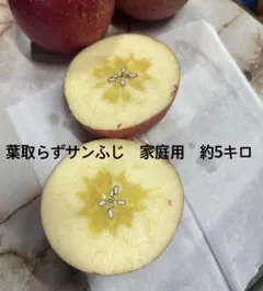 青森県産　葉取らずサンふじ 家庭用　約5キロ※残り出品分のみ