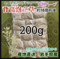 2026年最新】セイタカアワダチソウの人気アイテム - メルカリ