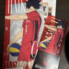 ハイキュー！！一番くじ　I賞チケットケース&クリアカードセット