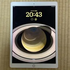 Apple iPad Pro 12.9インチ 第2世代 本体