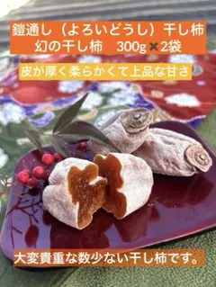 2026年最新】蜂屋柿の人気アイテム - メルカリ