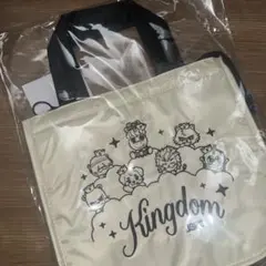 三代目JSB 保冷バッグ