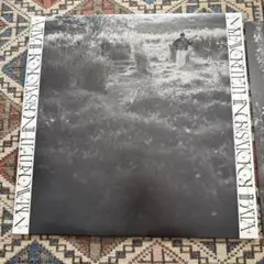 柴田聡子 / Your Favorite Things LP 未開封 再発盤 - メルカリ
