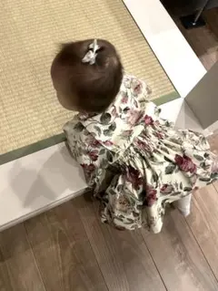 ベビー袴　70-80