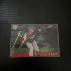 プロ野球チップス 2019 侍ジャパン 今永昇太 サインカード