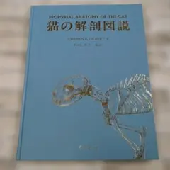 Item thumbnail for item 438d4240-1f30-4a01-8b53-051184004d2f