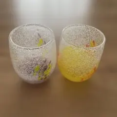 琉球グラス模様入りガラスグラス2個セット