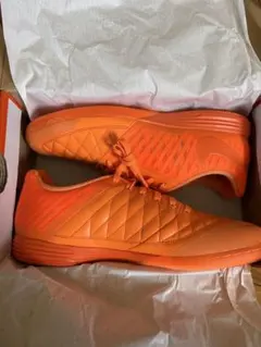 ルナガト2 フットサル ナイキ