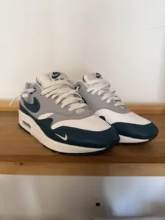 NIKE AIR MAX 1 ナイキ エアマックス1