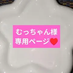 むっちゃん様専用ページ