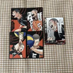 ハイキュー 田中龍之介 まとめ売り