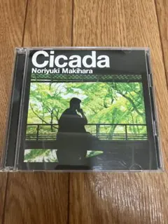 槇原敬之 Cicada CDアルバム 再生確認済 中古品