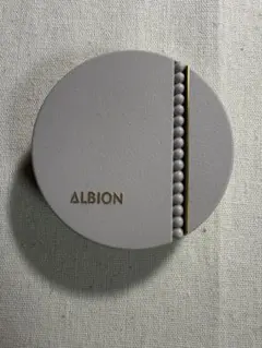 ALBION スタジオ タフウェア ソリッド ケース 010 美品のサムネイル