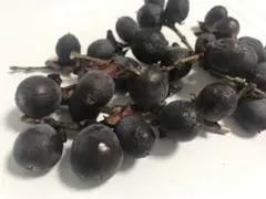 2025年最新】老爺柿種の人気アイテム - メルカリ