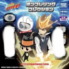 家庭教師ヒットマンREBORN！　ボンゴレリングコレクション　大空