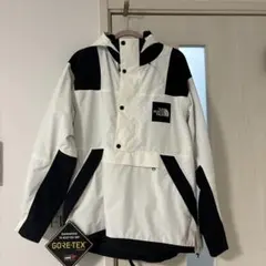 THE NORTH FACE GORE-TEX マウンテンパーカーnp11962