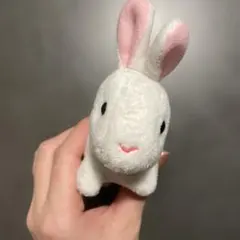 ウサギ　ぬいぐるみ