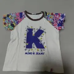 Item thumbnail for item 16c4c3a3-45aa-4627-a437-7819e4777277