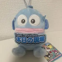 サンリオキャラクターズ　いっしょに推し活！本日の現場　ハンギョドン