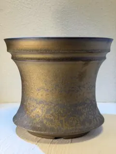 手作植木鉢 W22.5cm 大 検（ 塊根植物 グラキリス パキプス アガベ