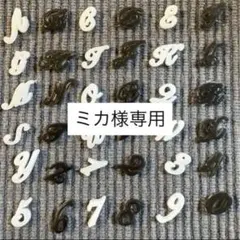 ミカ様専用ページ 白のHとSを1点ずつ