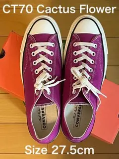 【美品】コンバース CT70 27.5cm Cactus Flower