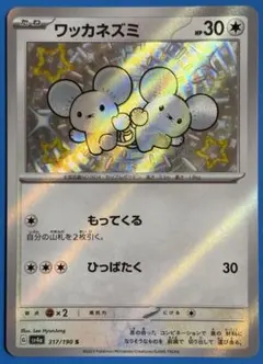 ワッカネズミ ポケモンカードゲーム