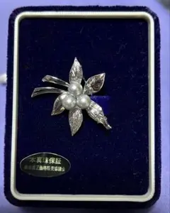 Item thumbnail for item eebe7456-02bf-434e-8a1a-2b08d58f704f