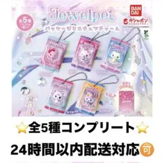 ジュエルペット パッケージミニチュアチャーム コンプリート ガチャガチャのサムネイル