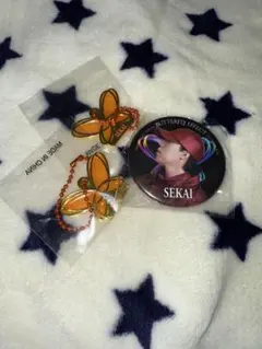 BUTTERFLY EFFECT -FLY WITH YOU- ガチャ