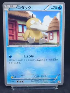 コダック C BW6 コールドフレア 015/059