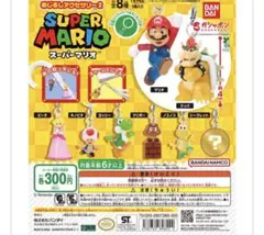 スーパーマリオ めじるしアクセサリー コンプリートセット