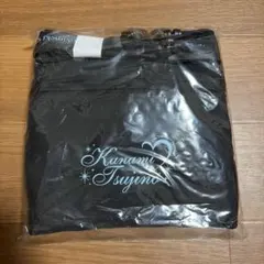 新品 未開封 超ときめき宣伝部 キャリーオンバック 辻野かなみ　超とき宣 とき宣