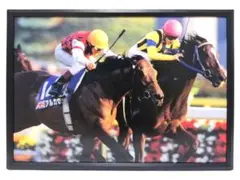 競馬 アルカセット ハーツクライ パネル 最速を極めた優駿たち