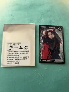 EBiDAN THE LIVE 2026 両面トレカ　NAOYA