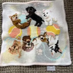 フェイラーハンカチ