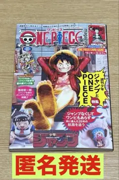 ワンピースマガジン20 カードなし　ONE PIECE magazine