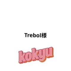 Trebol様 リクエスト 3点 まとめ商品