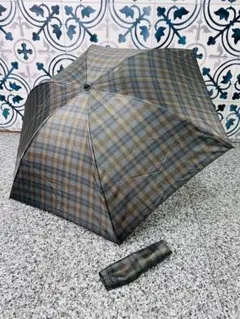 Item thumbnail for item 7c27d3b2-6dc0-4c45-82df-2b905fbe78ba