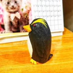 ハクビシンの剥製 置物 木製台座 - メルカリ