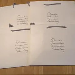 SHIZＵKＡ シヅカ洋菓子店ショッパー　 ショップ袋 4枚セット