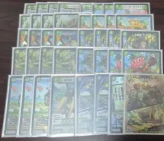 デュエルマスターズ 緑単キャベッジ