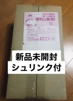 ポケモンカードゲーム スカーレット＆バイオレット スペシャルBOX フクオカ