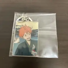 排球四季景〜夏ノ陣〜 日向翔陽 キーホルダー