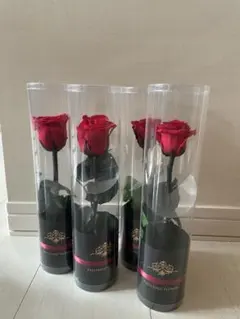 Item thumbnail for item 79ce11eb-e583-419e-a283-963ddbc35f9f