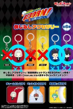 家庭教師ヒットマンREBORN めじるしアクセサリー 4個セット