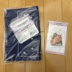 Item thumbnail for item cbd1f1cd-2bb2-4897-958f-4fcbefba3ee6