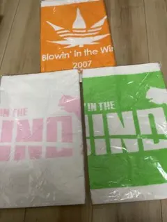 Item thumbnail for item a606936c-f872-4687-8a0c-47cdb0df8747