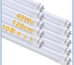 Item thumbnail for item 63af9d2b-a6ae-45ad-b9f5-63330cf2e6ae