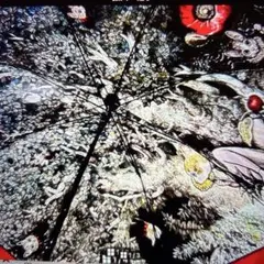 フレブルこてつ様　ヒグチユウコ 韓国 SECRET FOREST 長傘 ヒグチユウコ 韓国 傘 シークレットフォレスト 秘密の森